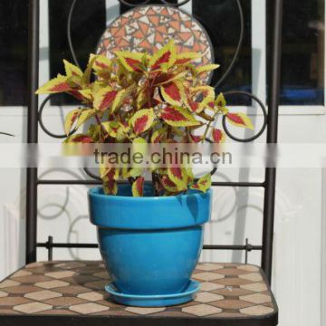 indoor ceramic glazed plant pots