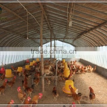Easy assembled comericial poultry breeding greenhouse