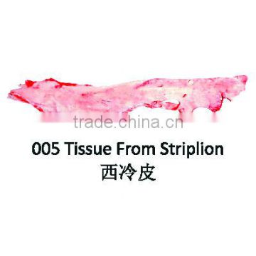 Tissue from Striplion - Halal Buffalo / Sheep meat offals