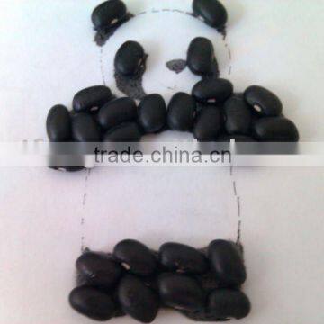 Black Kidney Bean( 2012 crop, hps, grade 1. Heilongjiang origin)