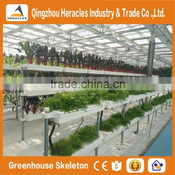 Heracles Commercial Idustrial Hydroponic Systems For PC Greenhouse /Vegetable Greenhouse