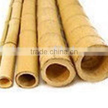 Low price wholesale yellow bamboo canes