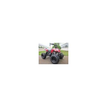 Farming Sport Utility Quad Bikes 110cc ATV with Reverse , Air Cooled Automatic