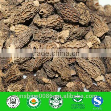 Top Quality Organic Dried Black Morel Mushroom