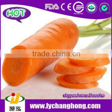 2014 New Crop Fresh Carrot Market Price