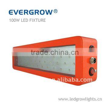 100W power saver led indoor plant light EG-50*3W-GPO-SXB