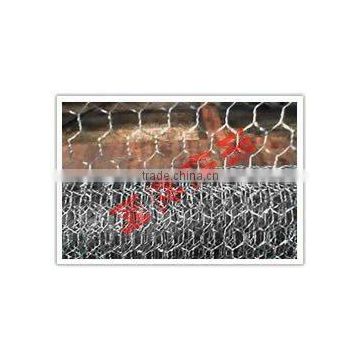 Anping High Qulaity Gabion (Used for retaining wall)