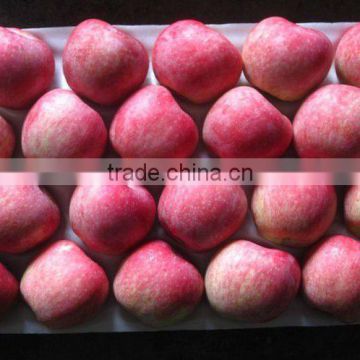 2012 fuji apple price