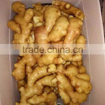 buyer of dry ginger