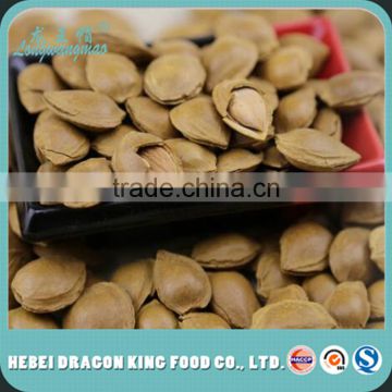 Cheap price roasted apricot kernel in shell for sale