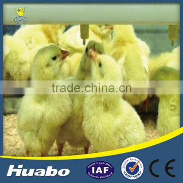 Automatic Nipple Drinking System for Chicken Farm Equipment