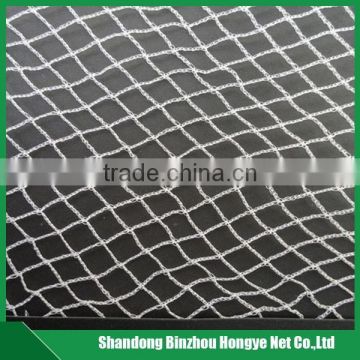 HDPE anti-bird net in agriculture,agricultural bird netting for export