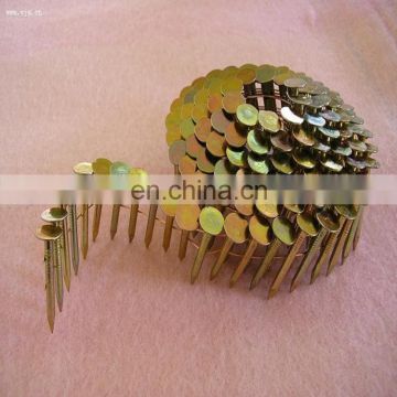 Coil nail from factory