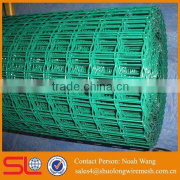 High Quality Green PVC Coated Holland Wire Mesh