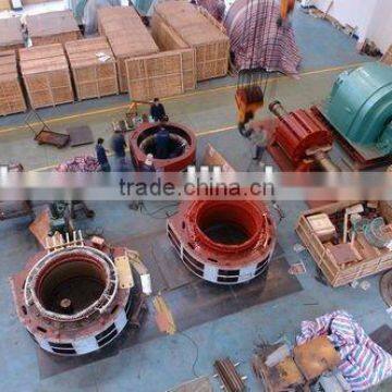 hydraulic generator/ hydro generator/ hydropower station