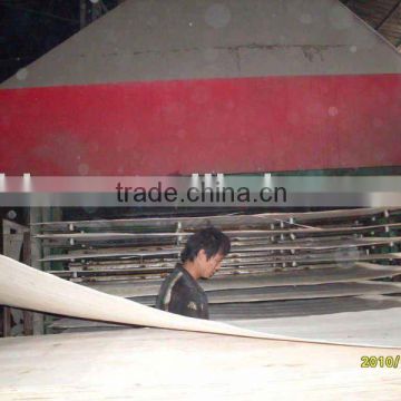 good quality china export packing plywood