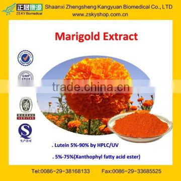 GMP Factory Supply High Quality Lutein Zeaxanthin