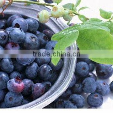 antioxidant rich foods Acai Berry