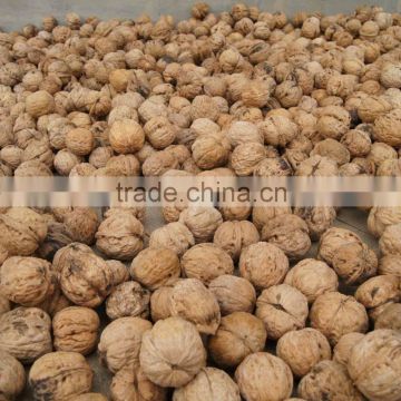 thin walnut from China