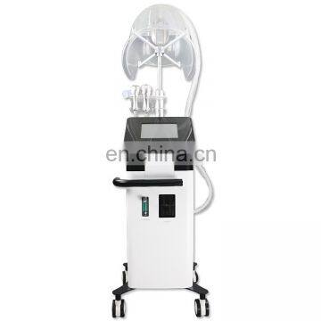 Multifunctional Beauty Machine Skin Rejuvenation with oxygen mask