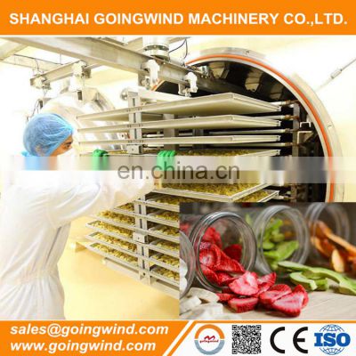Commercial vacuum freeze dryer lyophilizer machine foods fruits and vegetables freeze dryers lyophilizers good price for sale