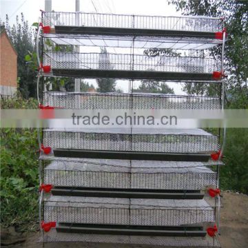 2014 hot sale quail cage and water system for poultry farm
