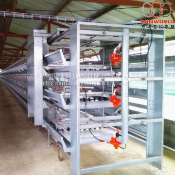 South Africa Poultry Farming Battery Broiler Cage & Meat Chicken Cage & Chicken Coop in Chicken Shed