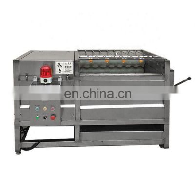 Discount Other Fruit & Vegetable Machines Lettuce Potato Tomato Vegetable And Fruit Washing Machine Price