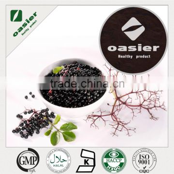 Factory supplied HPLC UV 25% Anthocyanidin Elderberry Extract Powder with ISO Kosher Certificate