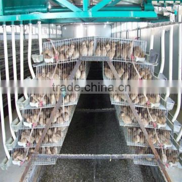 the best selling products! quail cages and quail farm equipment