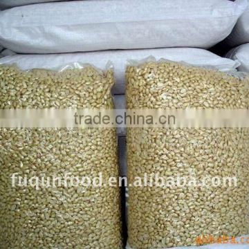 Blanched peanut kernels 25kgs vaccum packing