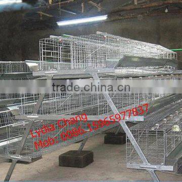 Chinese manufacturer design automatic broiler chicken cage used for chicken farm (lydia : 0086-15965977837)