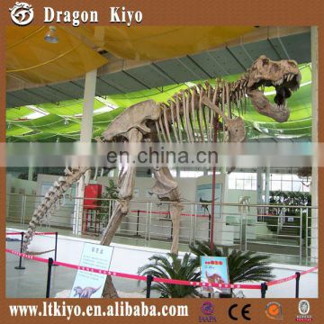 artificial dinosaur skeleton fossil replicas for amusement park