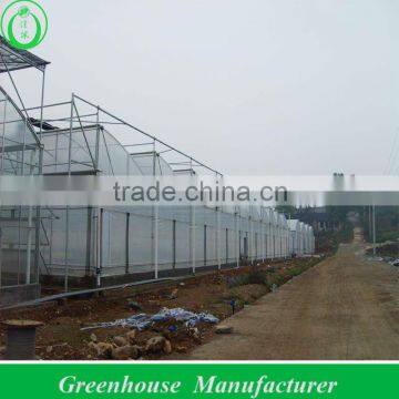anti-high wind strong film greenhouse