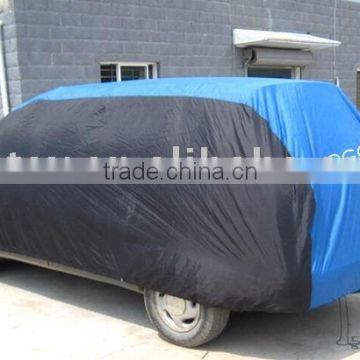 decorated car cover
