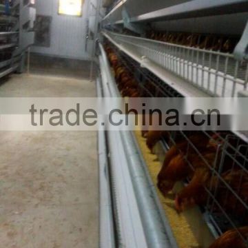 poultry shed for laying hens