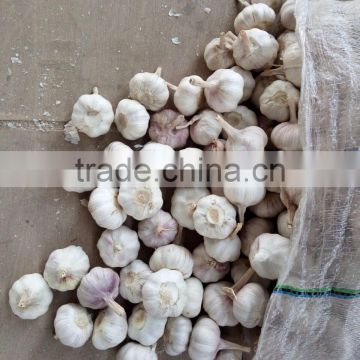YUYUAN brand hot sail fresh garlic garlic flake