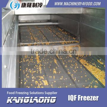 New Design Walk-in Freezer Made In China