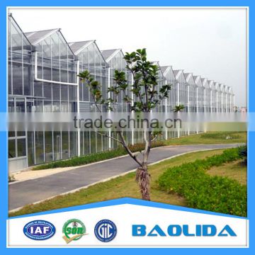 Commercial Large Glass Greenhouse For Agricultural Planting