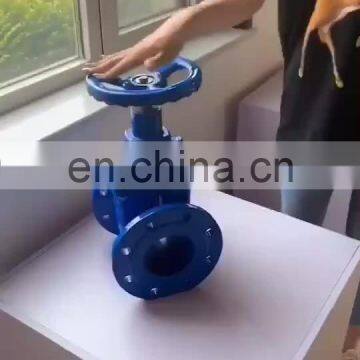 Epoxy resin Blue Color 120 Degree Temperature Flexible Disc Gate Valve