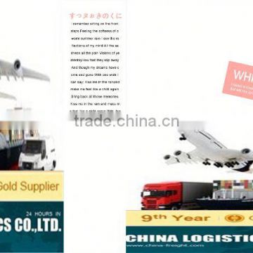 China logistics for sea shipping to muara/brunei