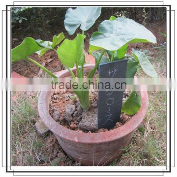 2014 New Style Slate Garden Plant Tag