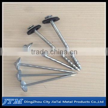 High quality galvanize roofing nail in umbrella head with plastic/rubber washer