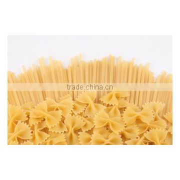 high quanlity automatic macaroni spaghetti production process
