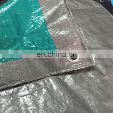 Silver green exported pe tarpaulin to japan