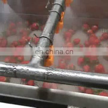 New Machine Stainless Steel  Bubble Spray  Fruit and Vegetable Washer Orange Cleaning Machine