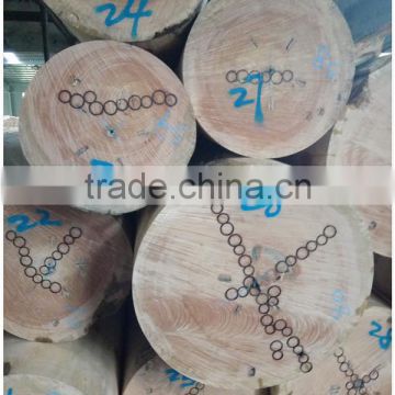 mahogany sawn timber