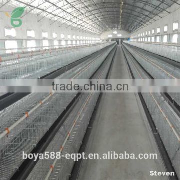 poultry layer broiler rearing cage for Zambia chicken house                        
                                                Quality Choice