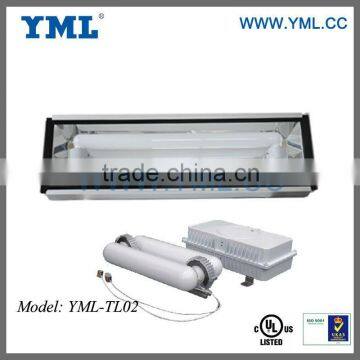 Energy Saving Tunnel Light Induction Lamp