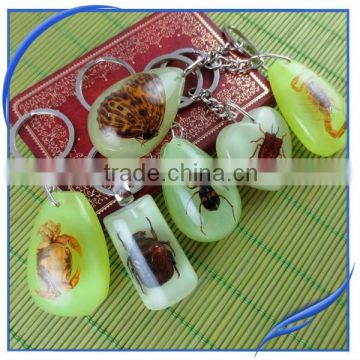 wholesale amber insect rhinestone key chain